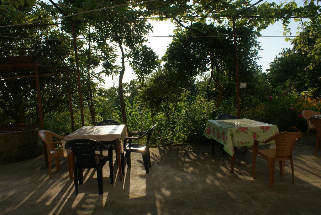 Merabi And Neli Guest House Makhinjauri Rum bild
